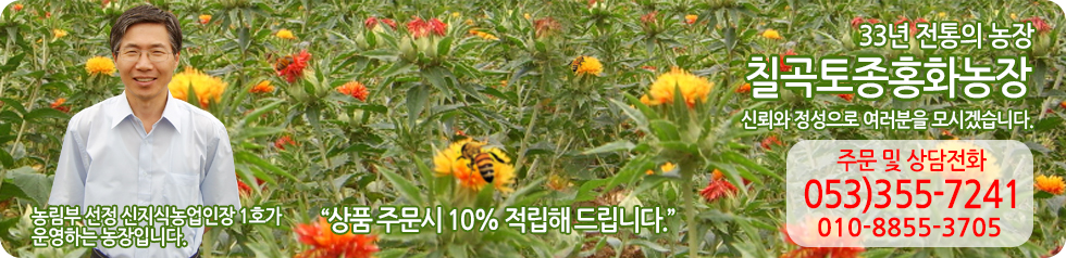 메인 비쥬얼