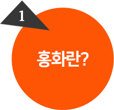 홍화란?
