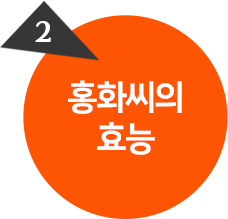 홍화씨의 효능